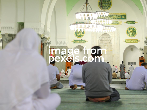 Suspendisse Tempus Dante Equam, Reget Pharetra